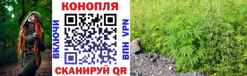 Шишки марихуана Amnesia  МЕГА онион  Оха 